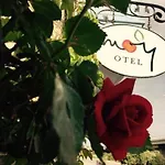 Moy イン アラカティ