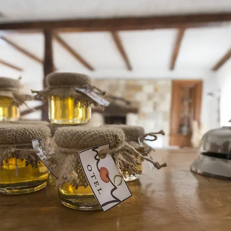 Moy ألاتشاتي